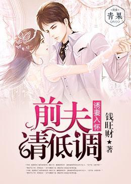 诱妻入怀:前夫,请低调