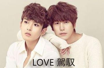 LOVE 驾驭