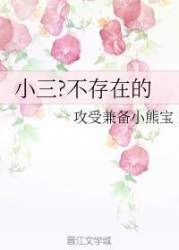 小三?不存在的