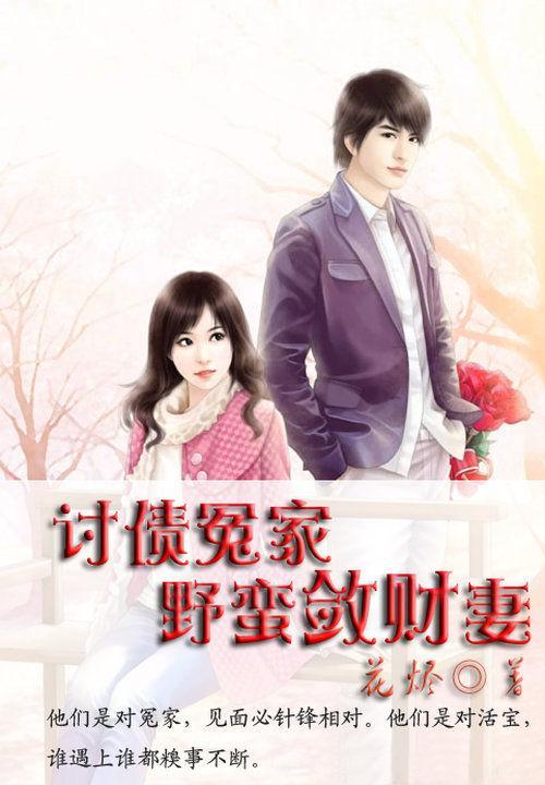 讨债冤家:野蛮敛财妻