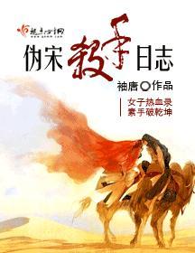 伪宋杀手日志