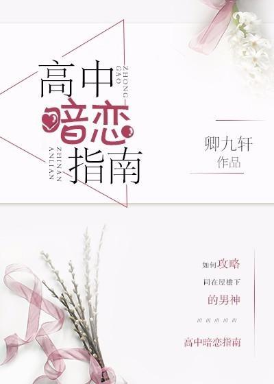 高中暗恋指南