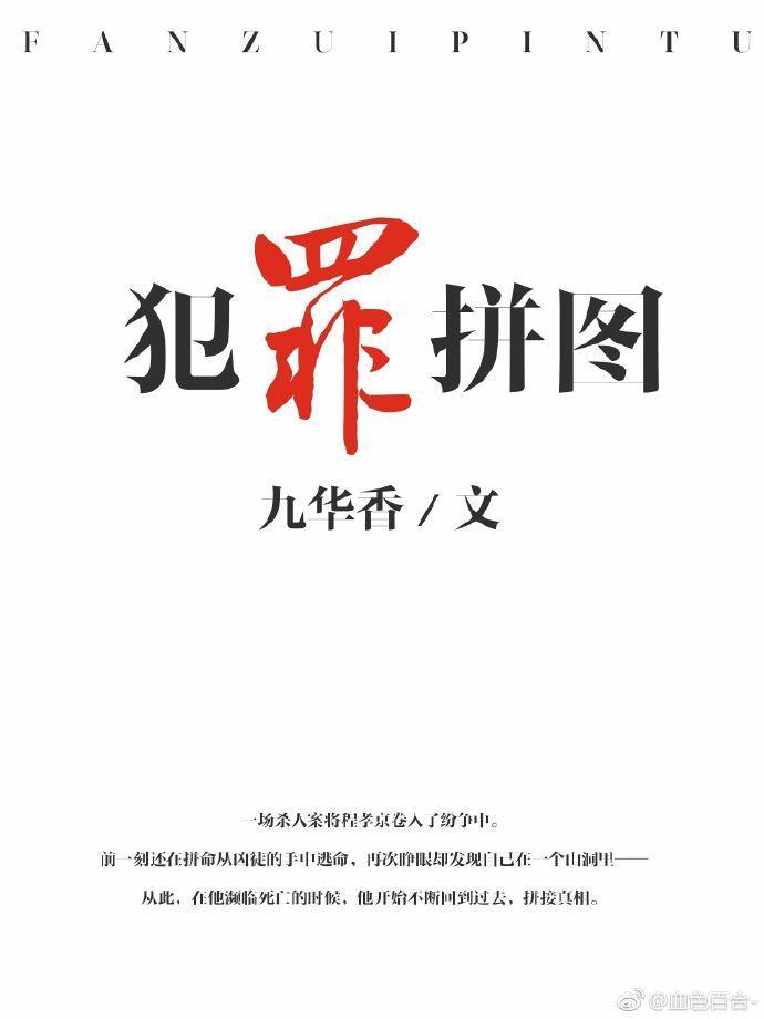 犯罪拼图