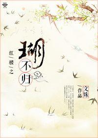 红楼之瑚不归