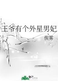 王爷有个外星男妃