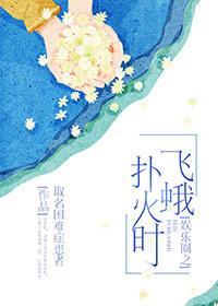 娱乐圈之飞蛾扑火时