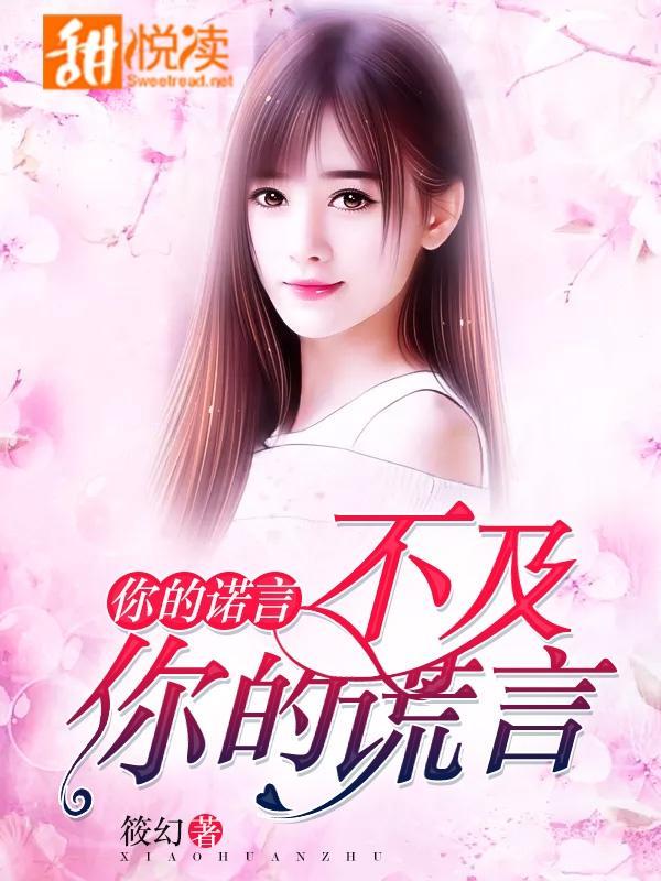 你的诺言,不及你的谎言
