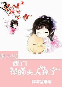 [陆小凤]西门你的夫人掉了