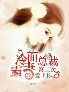 冷面总裁霸妻:第二次爱上你