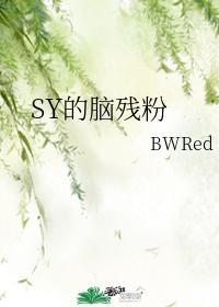SY的脑残粉