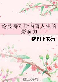 论波特对斯内普人生的影响力