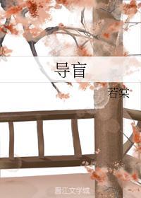 导盲