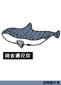 终会遇见你