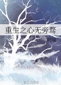重生之心无旁骛