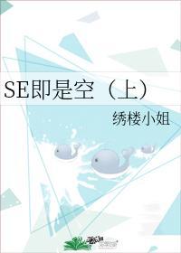 SE即是空(上)