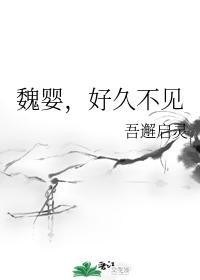 魏婴,好久不见