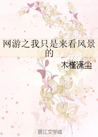 网游之我只是来看风景的
