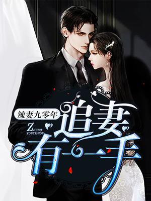 辣妻九零年：追妻有一手