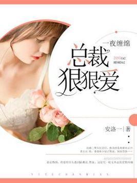一夜缠绵总裁狠狠爱