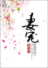 重生之爱妻(女尊)