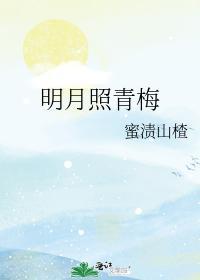 明月照青梅