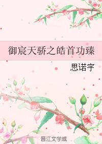 御宸天骄之皓首功臻