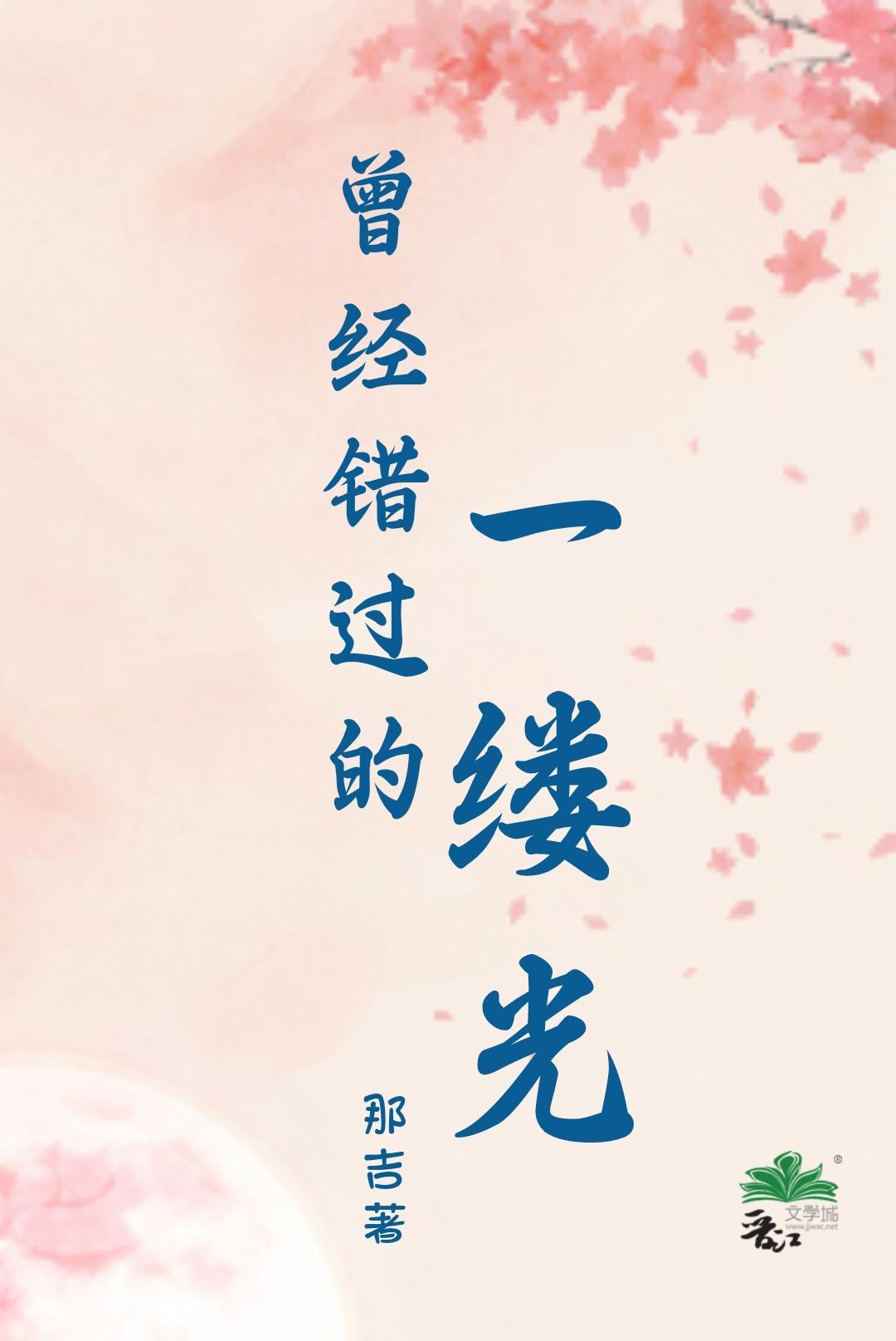曾经错过的一缕光