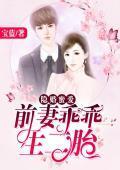 隐婚蜜爱:前妻乖乖生二胎
