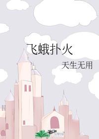 飞蛾扑火