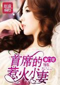 豪门宠:首席的惹火小妻