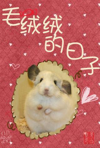 [网游]毛绒绒的日子