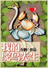 异妃:众皇心别急