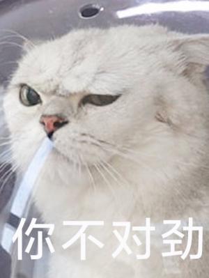 搞到真爱了