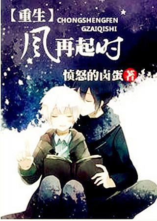 重生之风再起时