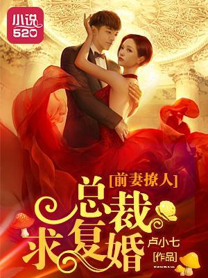 前妻撩人:总裁求覆婚