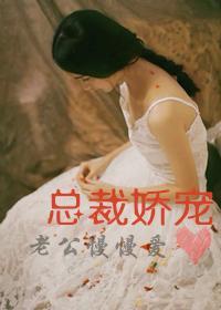 总裁娇宠:老公慢慢爱