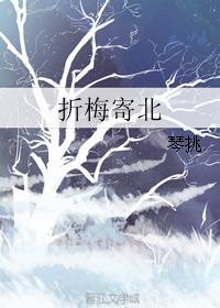 折梅寄北