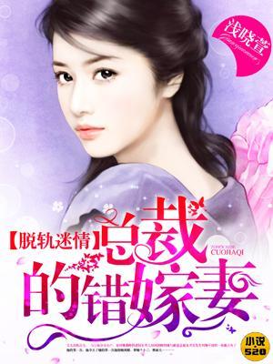 脱轨迷情:总裁的错嫁妻