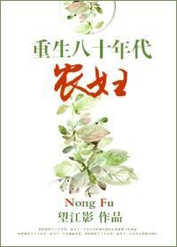 重生八十年代农妇