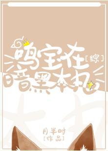 鸣宝在暗黑本丸[综]