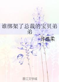 谁绑架了总裁的宝贝弟弟