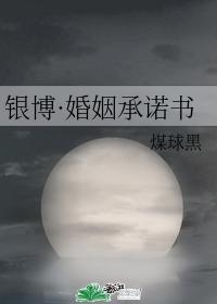 银博·婚姻承诺书