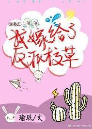 穿书后我嫁给了反派校草