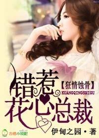 狂情蚀骨,错惹花心总裁