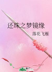还珠之梦镜缘