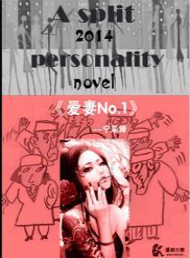 爱妻NO.1