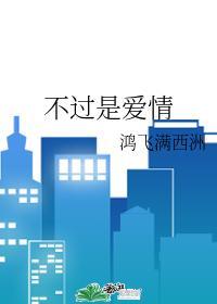 不过是爱情