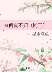奈何夏不归(网王)