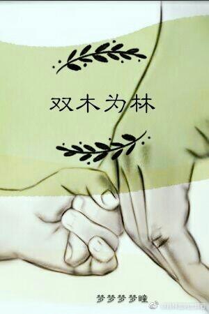 双木为林