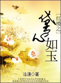 红楼之黛心如玉